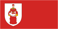 Флаг города Ивье (Беларусь)
